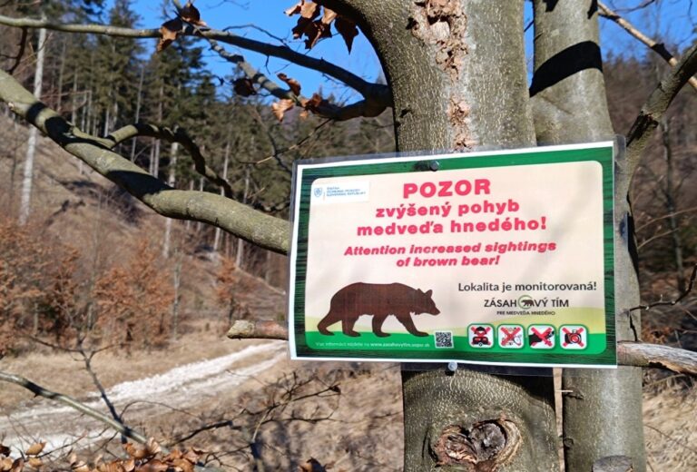 Informacna tabula osadena na strome