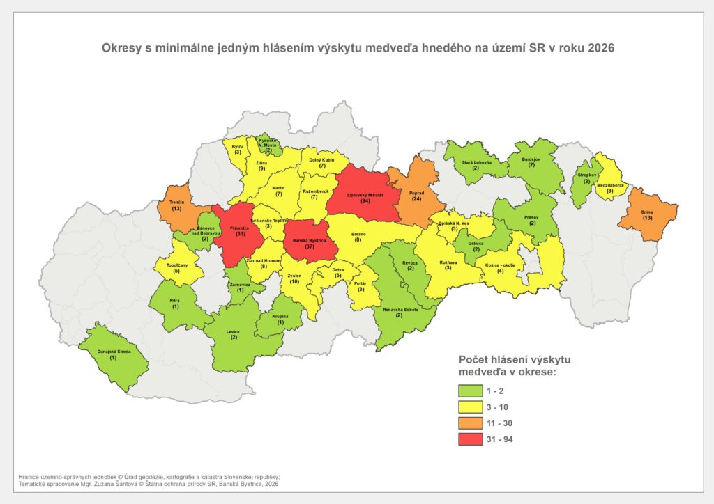 Mapa Slovenska zobrazujúca okresy s minimálne jedným hlásením výskytu medveďa hnedého v roku 2026. Okresy sú farebne rozdelené podľa počtu hlásení – zelená označuje 1 až 2 hlásenia, žltá 3 až 10, oranžová 11 až 30 a červená 31 až 94 hlásení. Najvyšší počet hlásení evidujú okresy Liptovský Mikuláš, Banská Bystrica a Prievidza.