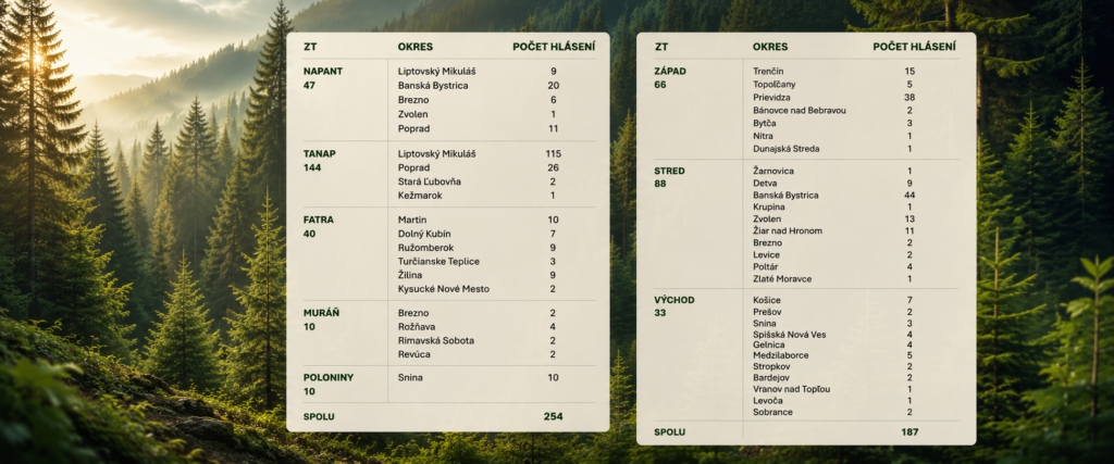 Infografika zobrazuje štatistiku hlásení výskytu medveďa hnedého v jednotlivých regiónoch Slovenska. Na pozadí hustého horského lesa sú umiestnené dve tabuľky s údajmi o počte hlásení podľa zásahových tímov a okresov.