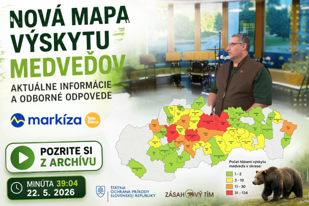 Grafika k relácii Teleráno na TV Markíza o novej mape výskytu medveďa hnedého na Slovensku v roku 2026. Na obrázku je moderátor a hosť zo Zásahového tímu, mapa okresov s hláseniami výskytu medveďov, logo TV Markíza, Teleráno, Štátnej ochrany prírody SR a Zásahového tímu. Súčasťou grafiky je aj informácia o archíve relácie od času 39:04.