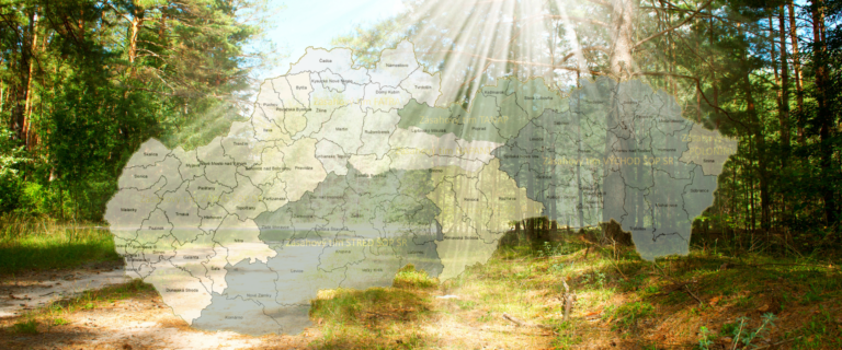 Mapa Slovenska s vyznačenými okresmi a územiami pôsobnosti zásahových tímov ŠOP SR, prekrytá fotografiou presvetleného lesa so slnečnými lúčmi a pňami stromov.