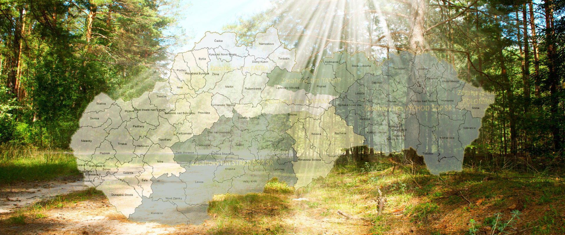 Mapa Slovenska s vyznačenými okresmi a územiami pôsobnosti zásahových tímov ŠOP SR, prekrytá fotografiou presvetleného lesa so slnečnými lúčmi a pňami stromov.