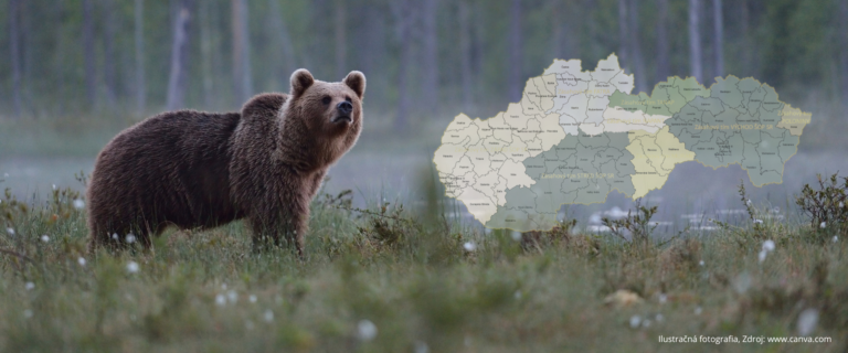 Medveď hnedý stojaci na lúke, vpravo mapa Slovenska s vyznačenými územiami pôsobnosti jednotlivých zásahových tímov ŠOP SR. Mapa zobrazuje rozdelenie územia podľa okresov a zásahových tímov Západ, Stred, Fatra, Liptov, TANAP, Muráň, Východ ŠOP SR a Poloniny.