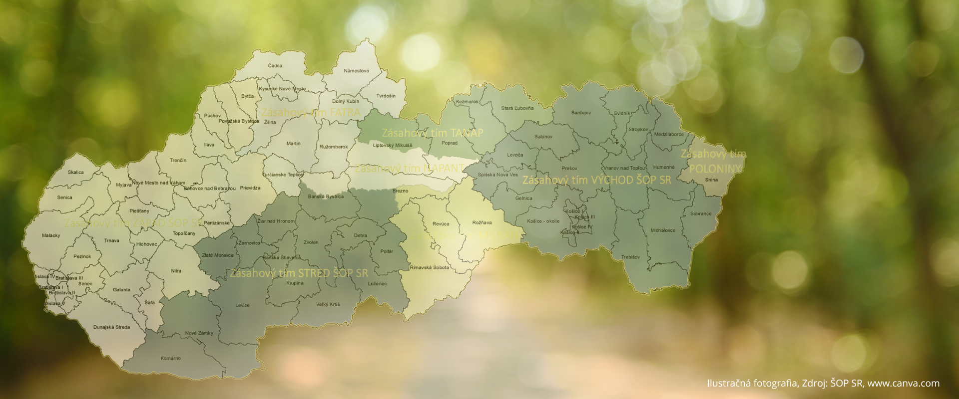 Mapa Slovenska s vyznačeným územným pôsobením jednotlivých zásahových tímov pre medveďa hnedého – ZÁPAD ŠOP SR, FATRA, TANAP, NAPANT, STRED ŠOP SR, MURÁŇ, VÝCHOD ŠOP SR a POLONINY. Mapa je umiestnená na rozostrenom zelenom pozadí lesa.